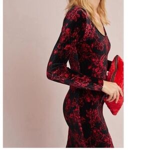 HD in Paris Deirdre floral dress stunning Holiday winter velvet dress black Red